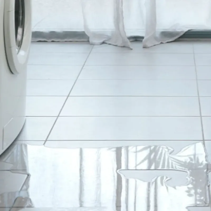Appliance Leak Cleanup in Linden, AZ