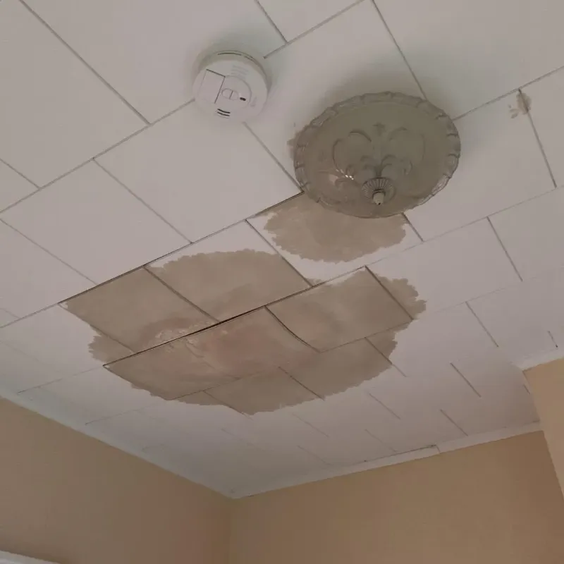 Ceiling Water Damage Repair in Linden, AZ