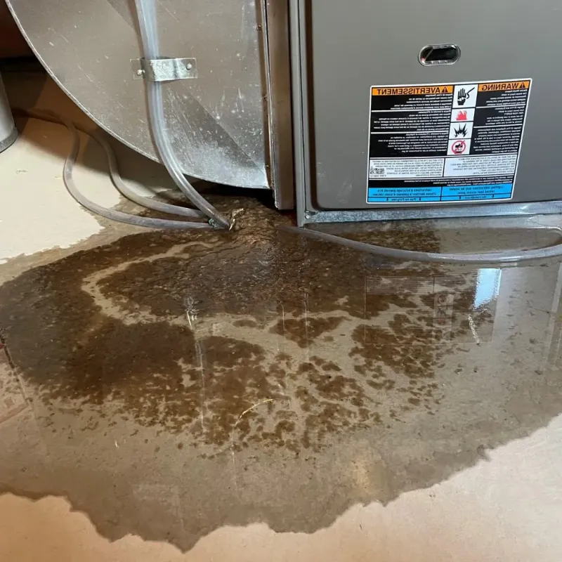 Pipe Burst and Leak Restoration in Linden, AZ